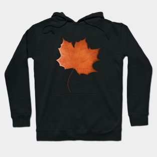 Autumn maple leaf red orange Hoodie